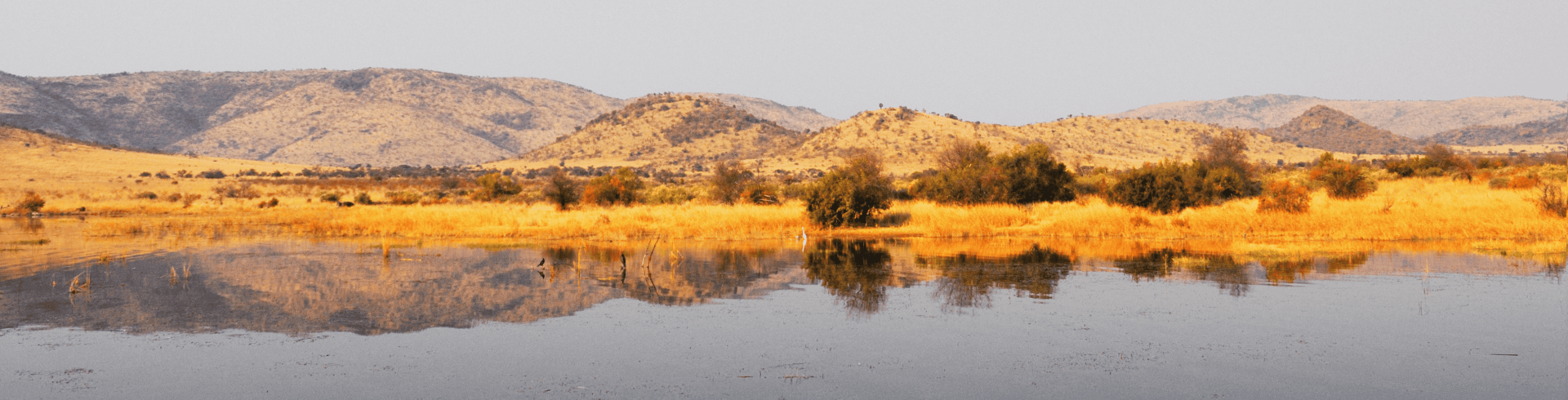 Essncias da frica Austral - Zimbbue & frica do Sul